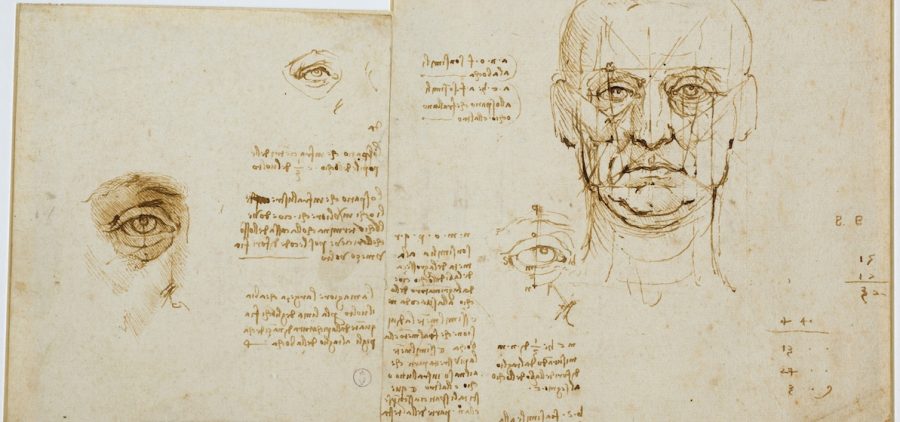 Studies of proportions of face and eye (with notes). Circa 1489. Credit: MiC-Musei Reali, Biblioteca Reale. Photographer Ernani Orcorte/ Courtesy of MiC-Musei Reali, Biblioteca Real. Photographer Ernani Orcorte