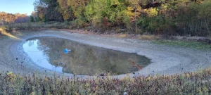 A pond in Morgan County is significantly shallower than normal, given the year's drought.