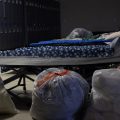 Three plastic bags with clothes inside sit in front of a row of cots. In the background is a set of lockers.