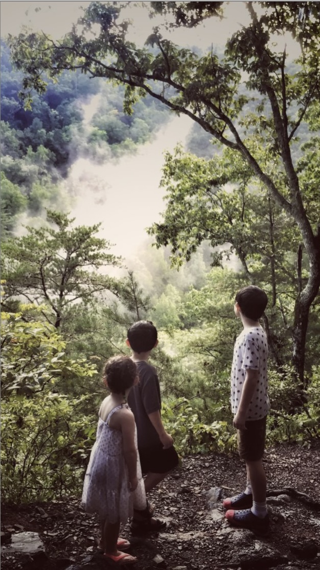 A photo of children looking off a cliff in the woods.