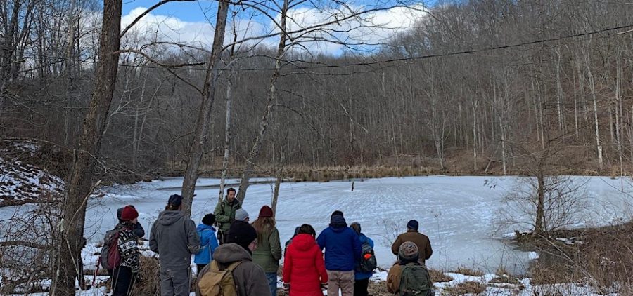 An image of people walking in the snowy woods.