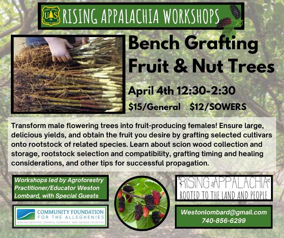 A flyer for a Rising Appalachia workshop.