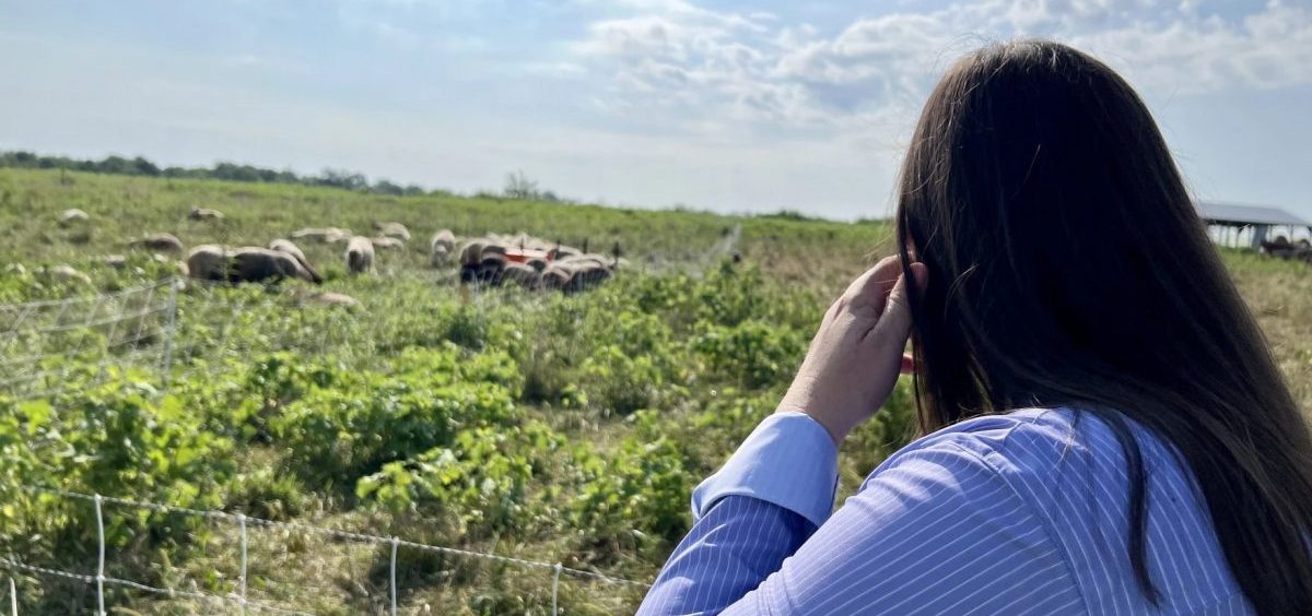 Sarah Ison looks out over sheep grazing at her farm in Moscow.