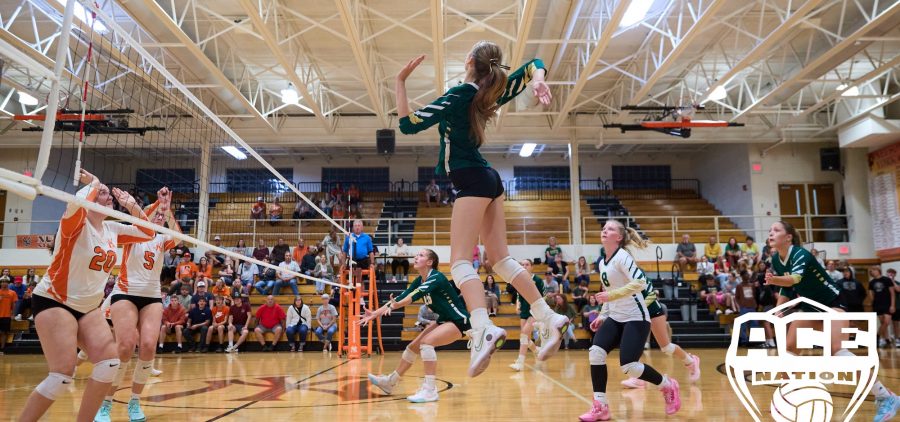 Bulldog Mabel Monday attacks at the net