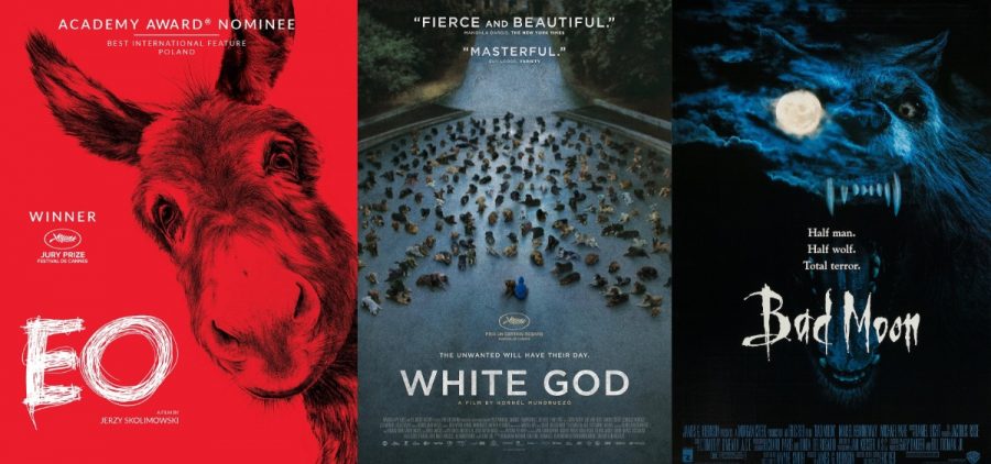 Artwork associated with the films "EO," "White God," and "Bad Moon."