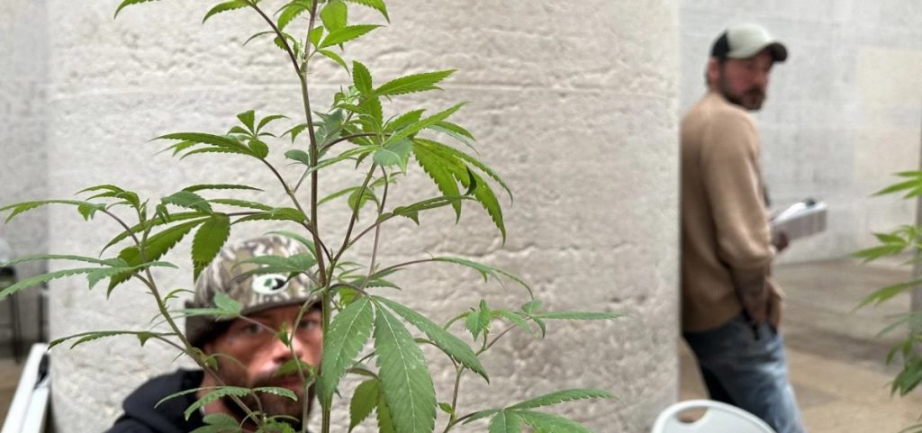Ronnie Smith, who opposes changes to cannabis laws, sits behind a plant at the Ohio Statehouse in March 2025.