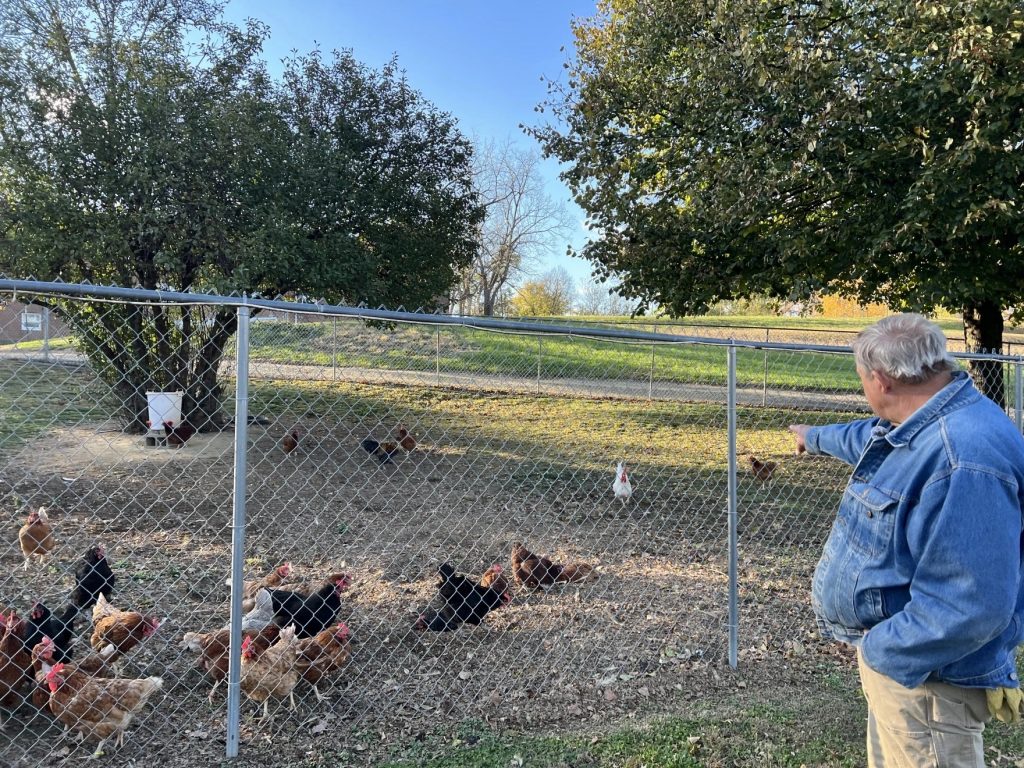 Manager of the Jefferson Street Oasis Community Garden, Terry Fredrich, points to chickens behind a fence.