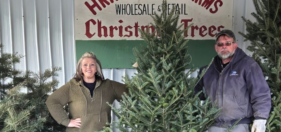 Melissa Swingle, Cambridge assistant director of economic development, poses with a tree on Hrinko Christmas Tree farms.