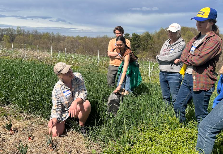 an image of people outside examining agricultural crops.