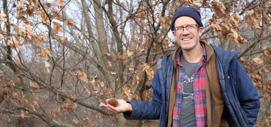 A man holds a Chinese chestnut in the forest