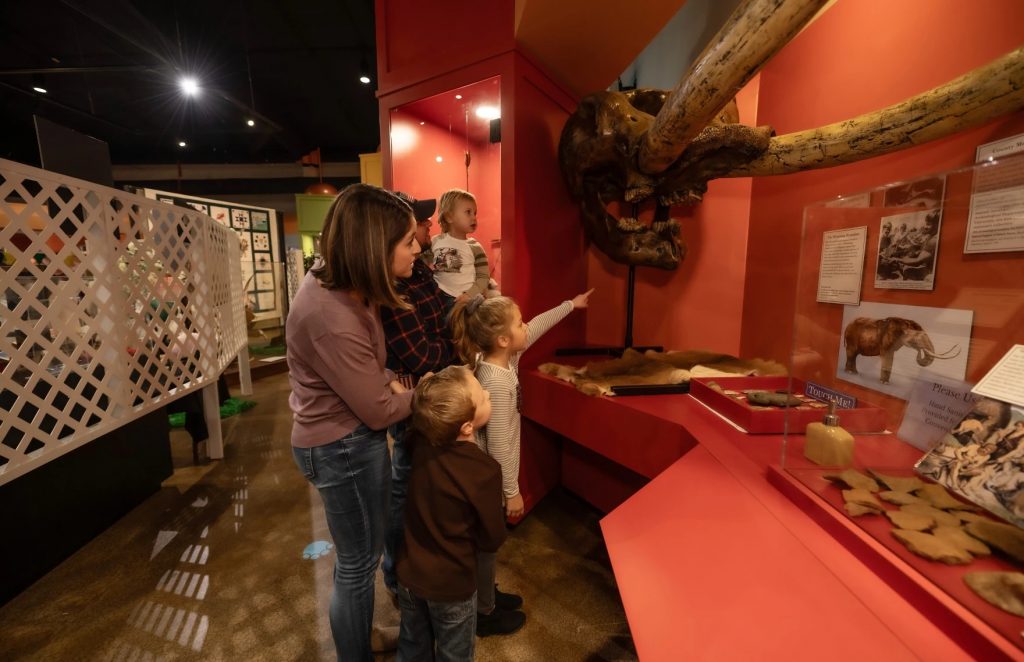 An exhibit at the Museum of Fulton County is dedicated to the mastodon discovery in Winameg.