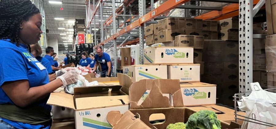 People unpack and pack boxes of food at a food bank.