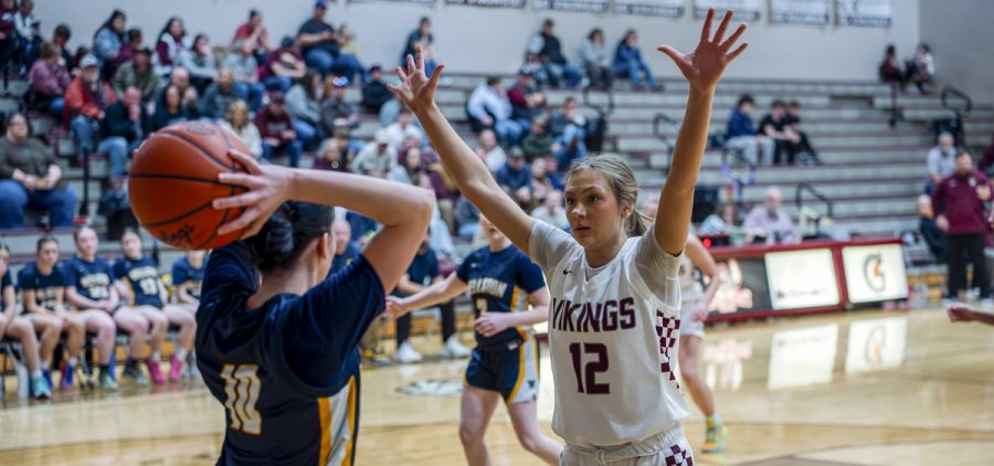 The Lady Viking defender looks to swat the ball while the Wellston player inbounds it.