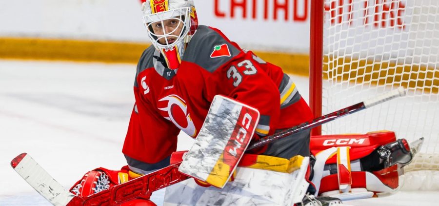 Gwyneth Philips guards the net during a PWHL regular season game