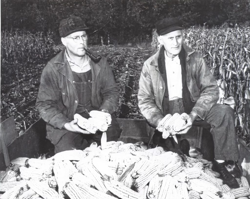 A photo from the '40s shows Rettig's great-grandfather and great-great-grandfather harvesting popcorn on their family farm in Henry County.