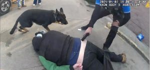 An image from body cam footage that shows a man lying on the ground, a police officer holding a taser to his back and a police dog next to the two.