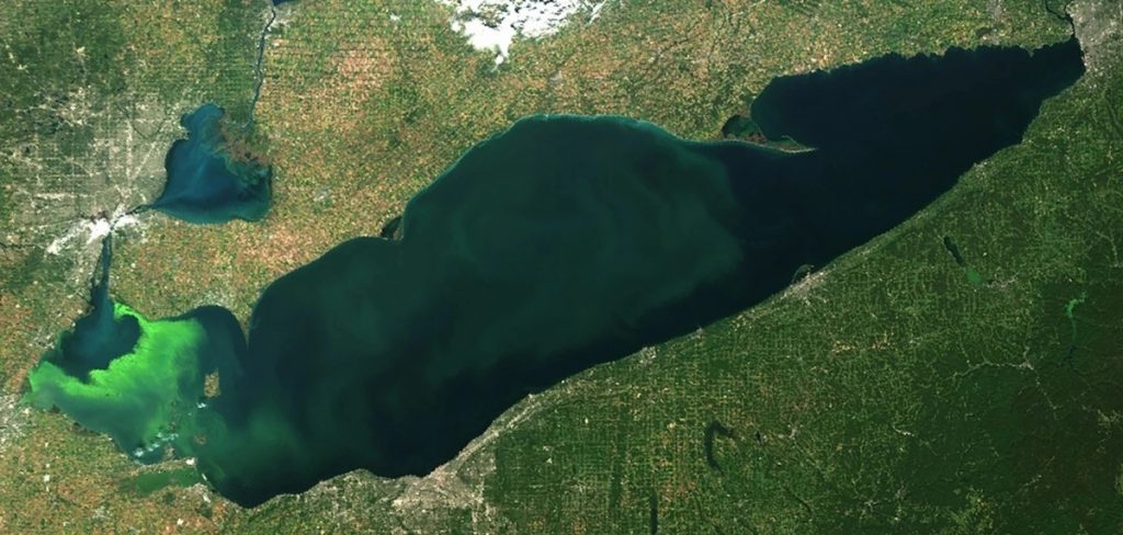 An algal bloom in the western basin of Lake Erie as seen in a satellite image.