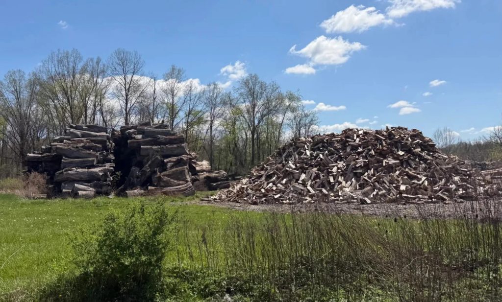 rees cut down for well pads, pipelines and other oil and gas development are piled up near Tappan Lake.
