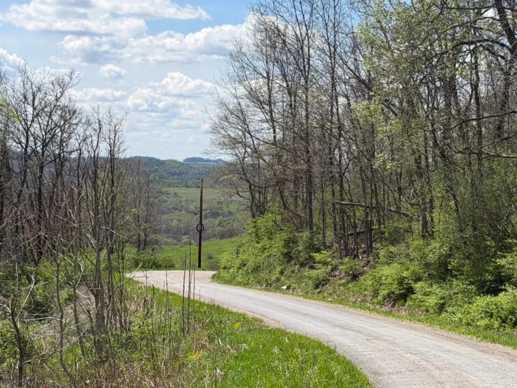 Driving into the Egypt Valley Wildlife Area.
