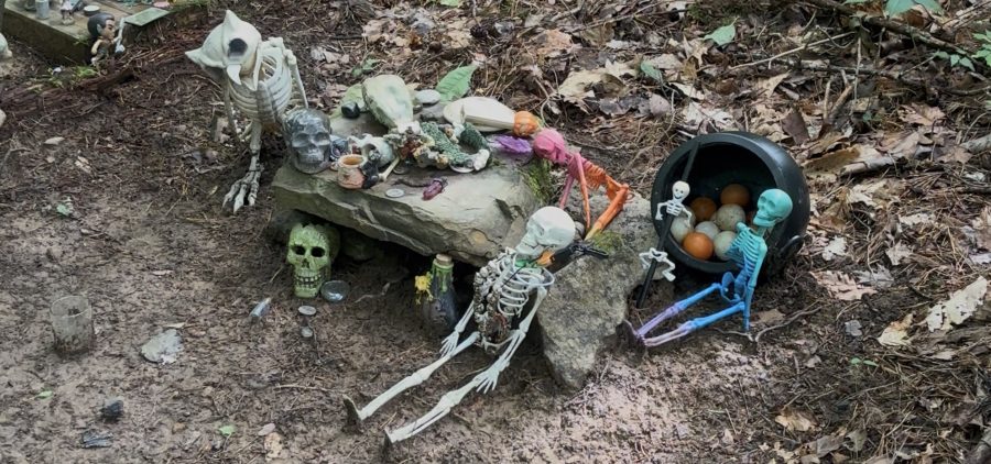 A fairy shrine decorated with handmade offerings sits among the trees at the Summer Solstice Festival, inviting visitors to pause, reflect and connect with nature.