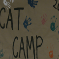 A banner with handprints painted on reads Cat Camp 2026