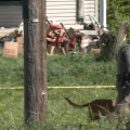 Investigators search the outside of a home in Vinton County where 16 children sharing a single room were removed on Tuesday.