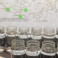 The temporary display at the Underground Railroad Museum displays 14 jars, each filled with the dirt from a lynching site in Ohio.
