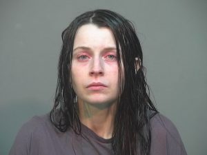 Elizabeth Siders' mugshot