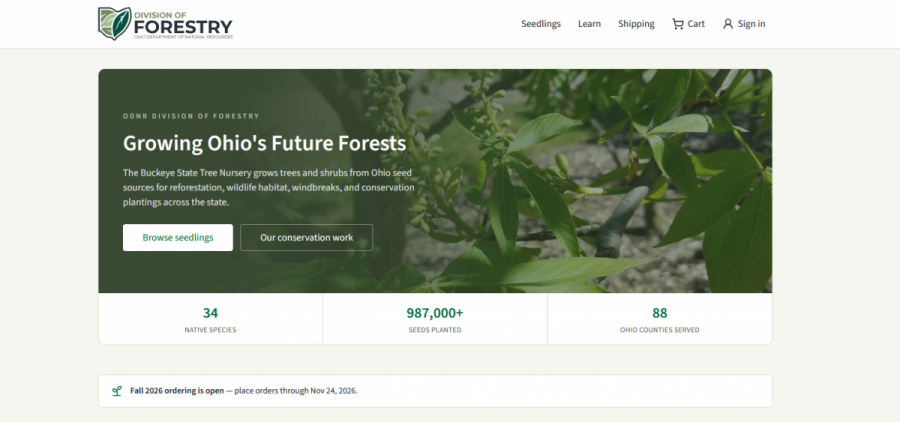 A screenshot shows how you can buy seedlings from the Buckeye State Tree Nursery