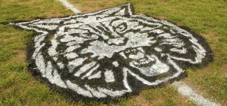 The Waterford Wildcat logo spray painted on the field at Waterford High School.