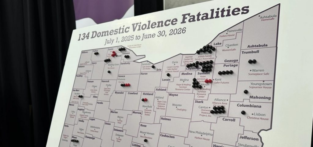 A map of Ohio with pens in it showing domestic violence fatalities in a year's time.