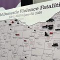A map of Ohio with pens in it showing domestic violence fatalities in a year's time.