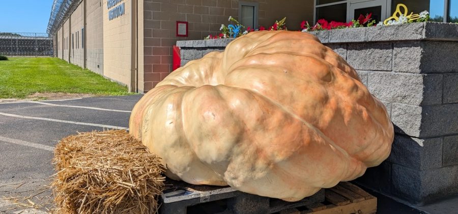 This year's pumpkin sits outside the Belmont Correctional Institution