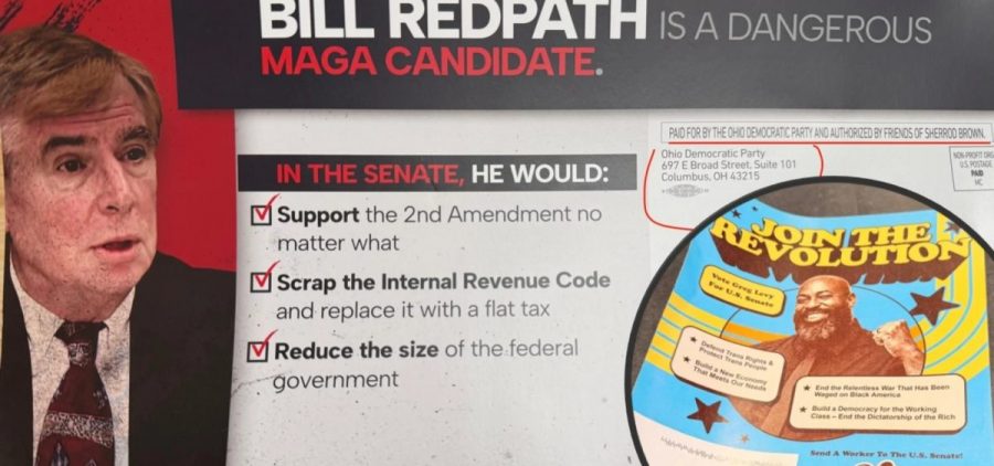 A compilation of two political mailers showing Libertarian candidate for Senate Bill Redpath and Independent candidate Greg Levy.